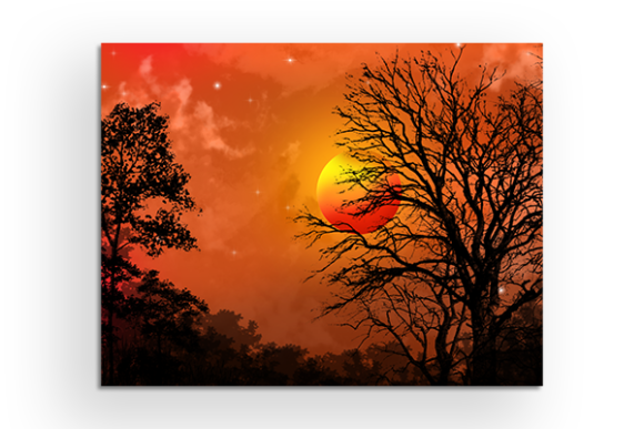 Download Sunset Vector Illustration Art - Wallart - Wallart Collection